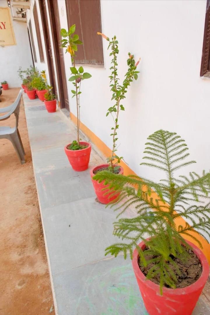 Backpackers Karma Home Stay Khajurāho Екстериор снимка